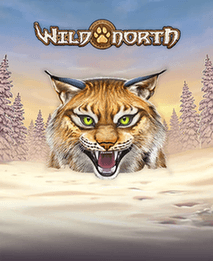 Wild North logo