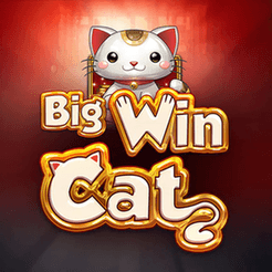 Big Win Cat logo