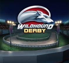 Wildhound Derby logo