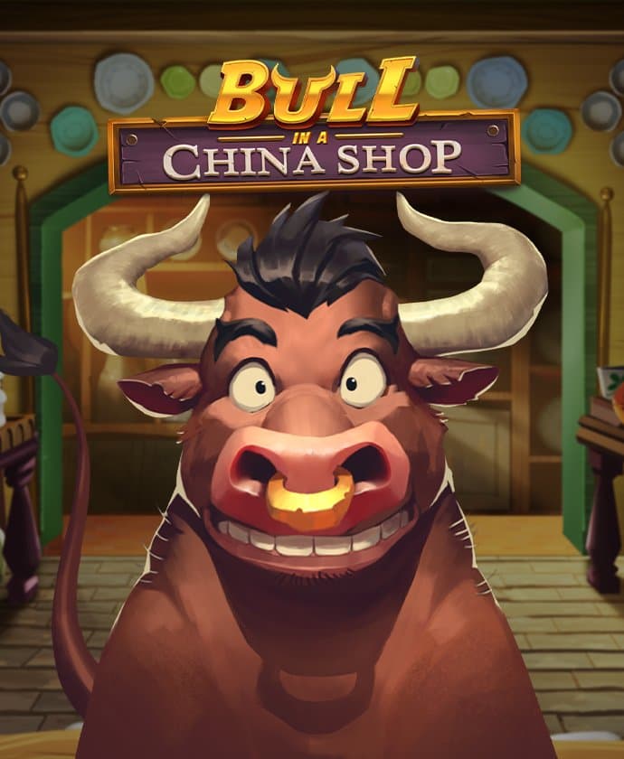 Bull in a China Shop logo