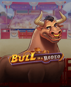 Bull in a Rodeo logo