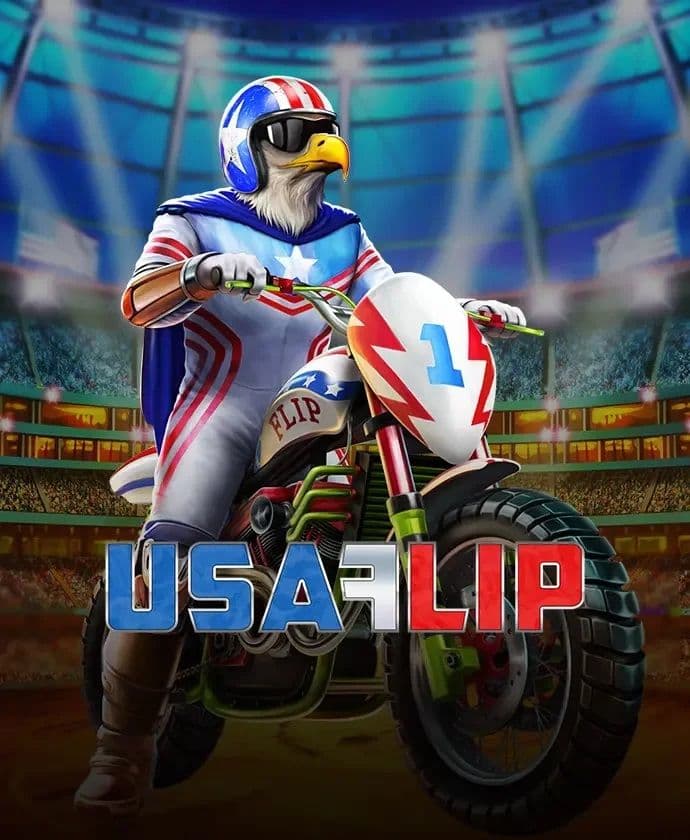 USA Flip logo