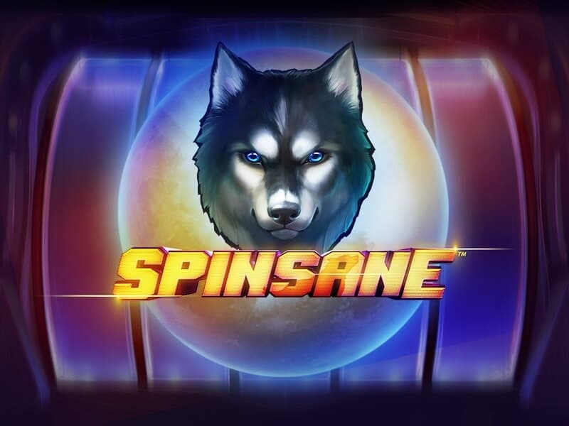 Spinsane logo