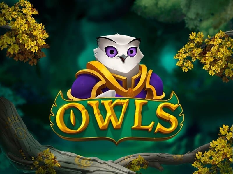 Owls  logo