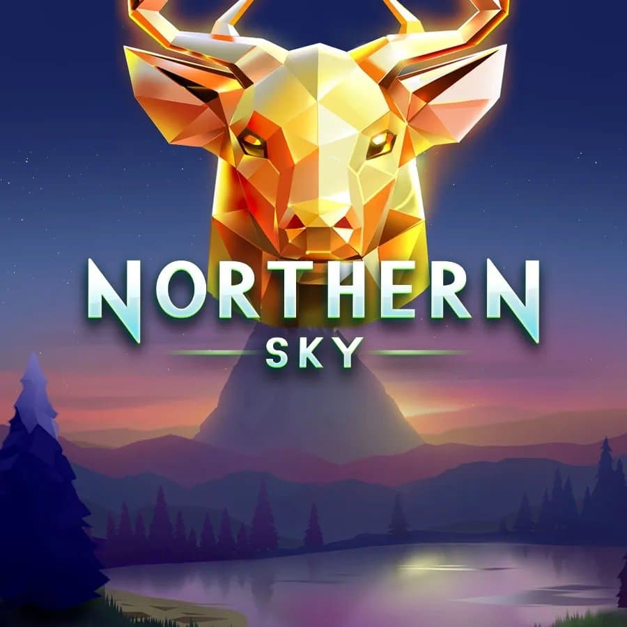 Northern Sky logo