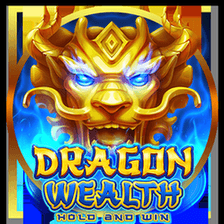 Dragon Wealth logo