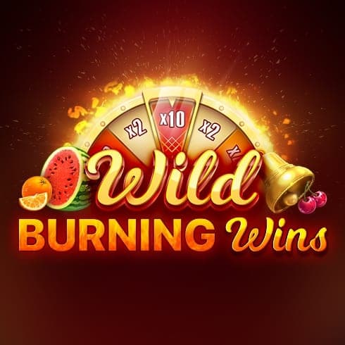 Wild Burning Wins: 5 lines logo
