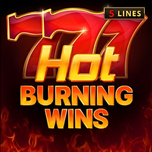 Hot Burning Wins logo