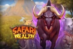 The Safari Of Wealth logo