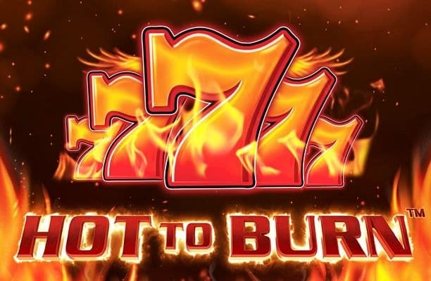 Hot to Burn® logo