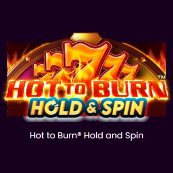 Hot to Burn® Hold and Spin logo