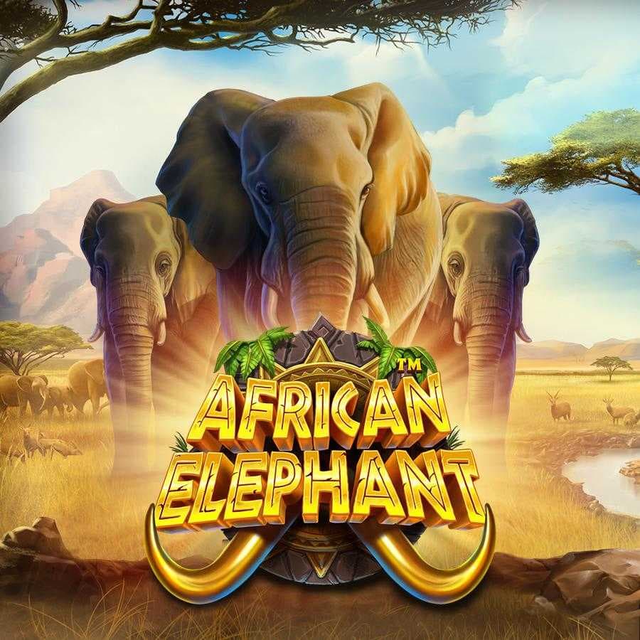 African Elephant™ logo
