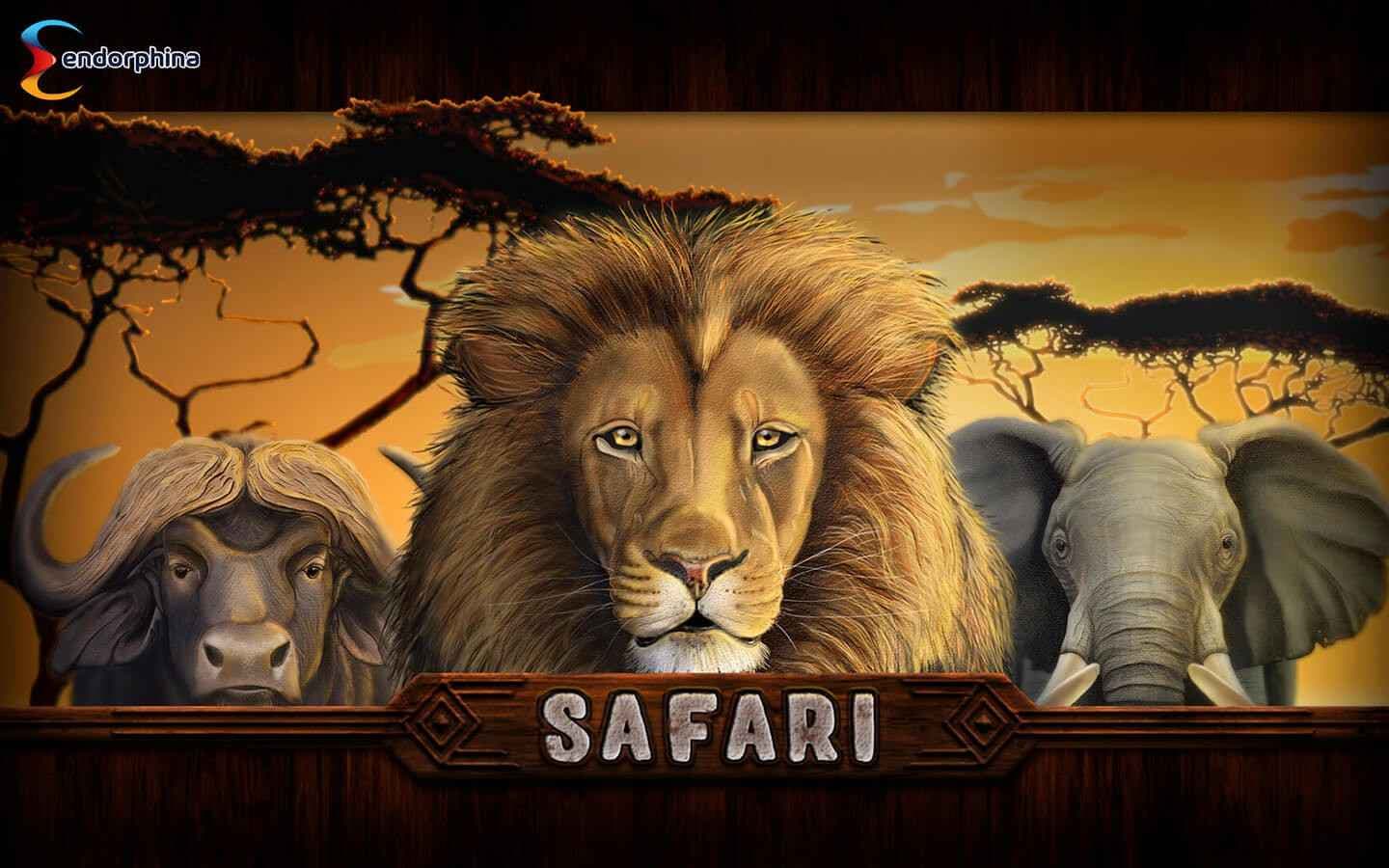Safari  logo