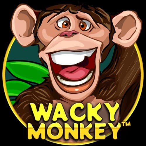 Wacky Monkey logo