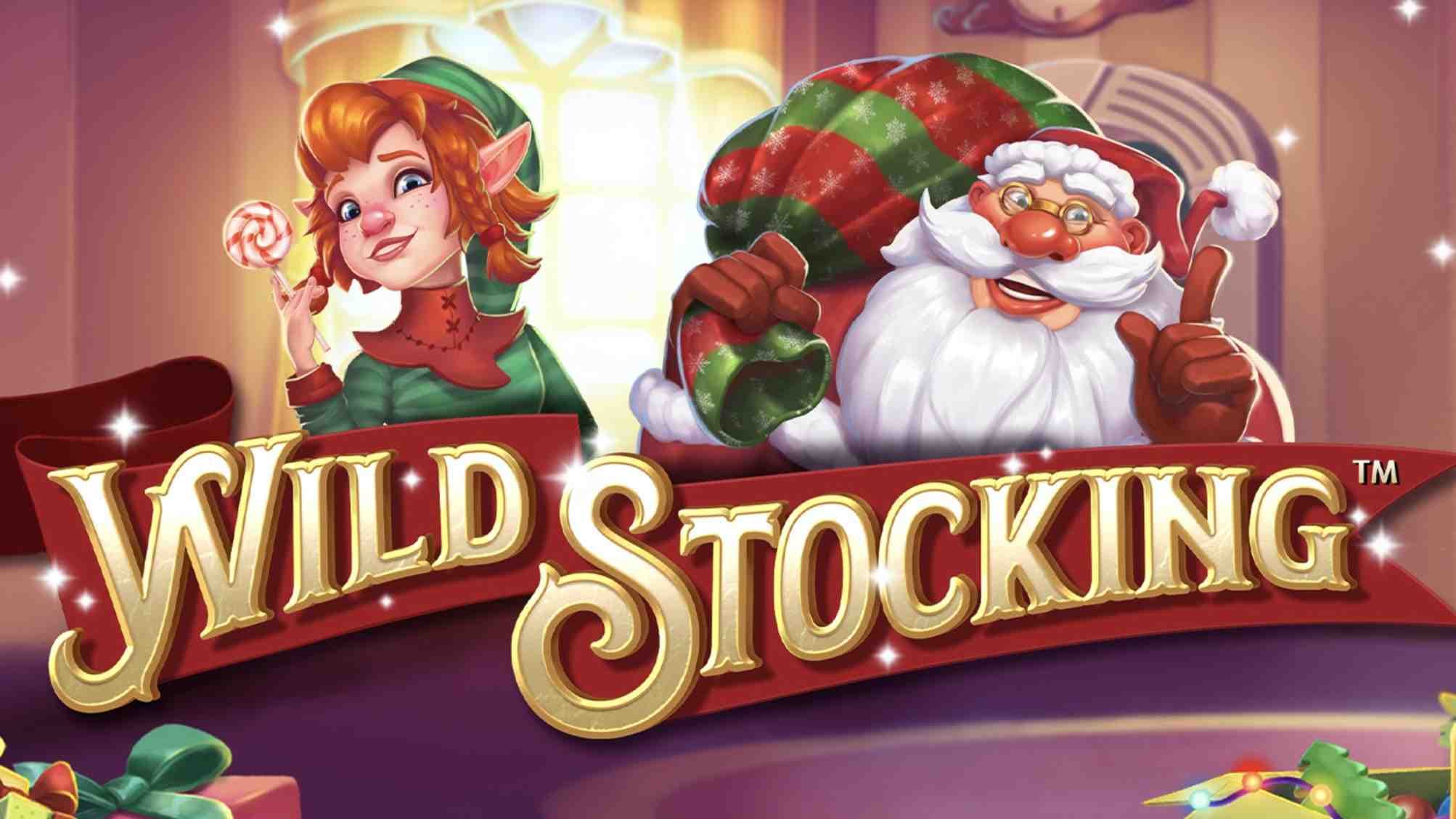 WILD STOCKING logo