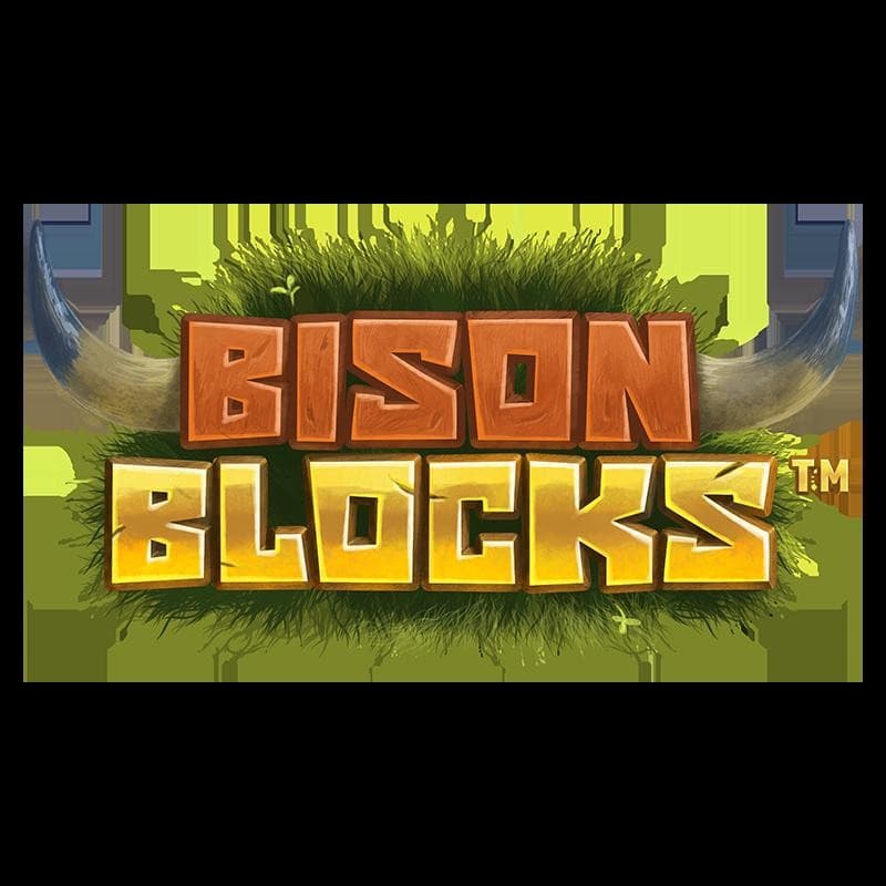 BISON BLOCKS logo
