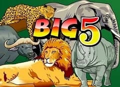 Big 5 logo