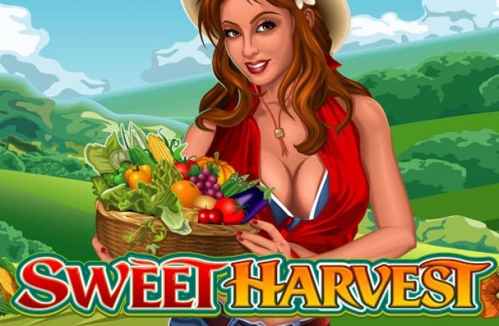 Sweet Harvest logo