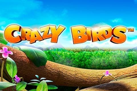 Crazy Birds™ logo