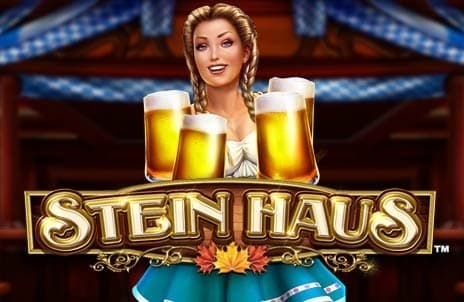 Stein Haus™ logo