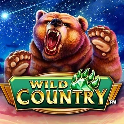 Wild Country™ logo
