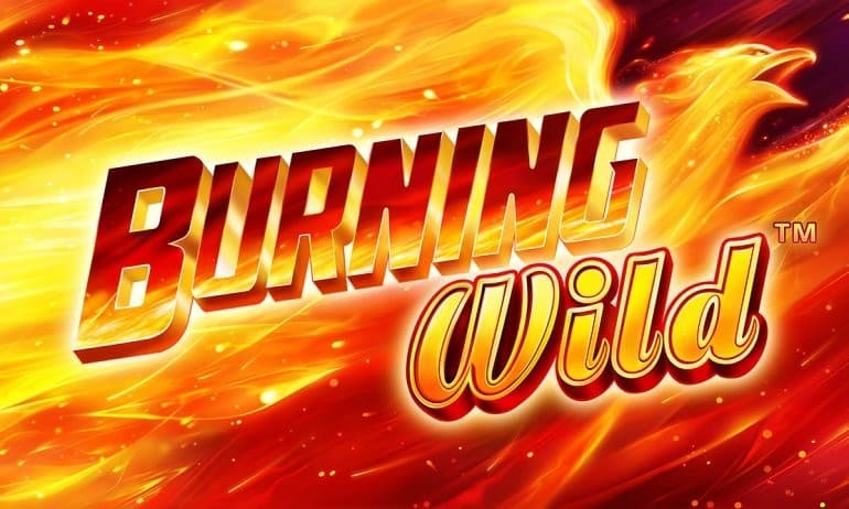 Burning Wild™ logo