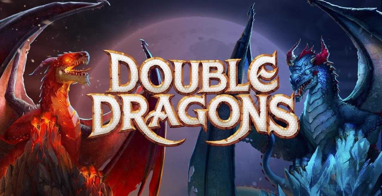 Double Dragons logo