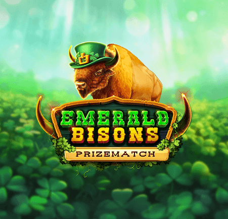 Emerald Bisons PrizeMatch logo